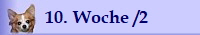 10. Woche /2