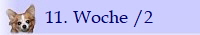 11. Woche /2